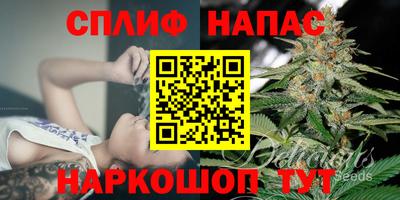не бодяженный Бийск