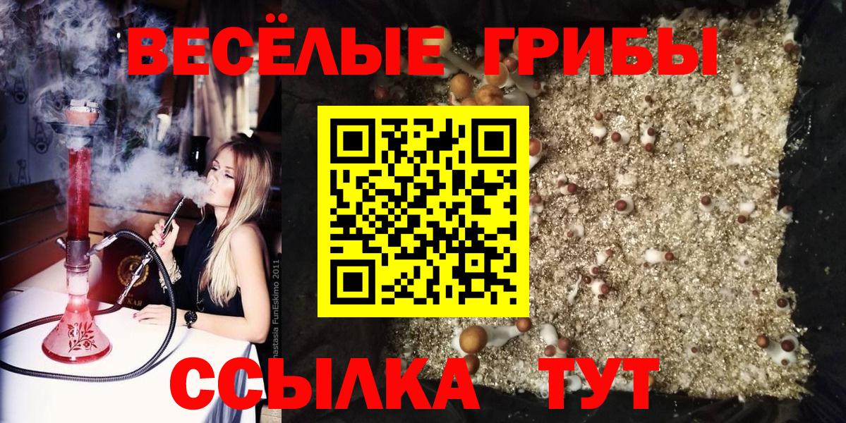 Клин  Псилоцибиновые грибы мухоморы  Вход с VPN  Псилоцибиновые грибы MAGIC MUSHROOMS 