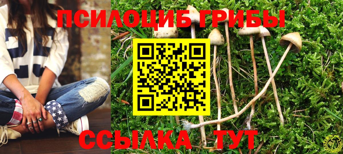 Галлюциногенные грибы Psilocybine cubensis Клин